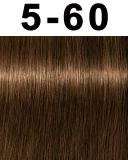 Schwarzkopf Igora Royal Absolutes 5-60 Light Brown Chocolate Natural 2.1 oz