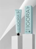 Schwarzkopf Igora Royal Highlifts 12-1 60 ml