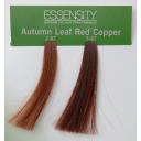 Schwarzkopf Professional Essensity Permanent Colour 60ml, 6-0 Dark Blond