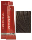 Schwarzkopf Professional Igora Royal Hair Color, 4-68 Med Auburn Brown