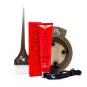 Schwarzkopf Professional Igora Royal Hair Color, 4-68 Med Auburn Brown