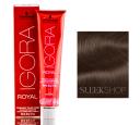 Schwarzkopf Professional Igora Royal Hair Color., 5-6 Light Brown Chocolate