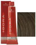 Schwarzkopf Professional Igora Royal Hair Color, 6-1 Dark Ash Blonde - 2.1 fl oz tube