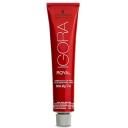 Schwarzkopf Professional Igora Royal Hair Color, Black