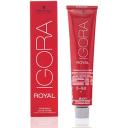 Schwarzkopf Professional Igora Royal Permanent Hair Color with Sleek