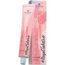 Schwarzkopf Professional Igora Royal Permanent Hair Color with Sleek