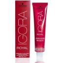Schwarzkopf Professional Igora Royal Permanent Hair Color with Sleek