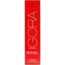 Schwarzkopf Professional Igora Royal Permanent Hair Color with Sleek