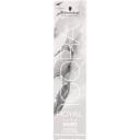 Schwarzkopf Professional Igora Royal Permanent Hair Color with Sleek