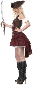 Sexy Swashbuckler Adult Costume