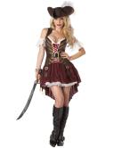 Sexy Swashbuckler Costume