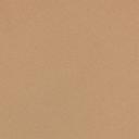 Shine Foundations Cheeky Brief | Ochre