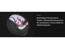 Shoei NXR 2 Marquez American Spirit TC-10 XS