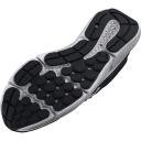 Shoes from Running Under Armour Charged Assert 10