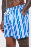 Short Length Stripe Swim Shorts