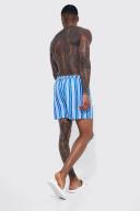 Short Length Stripe Swim Shorts