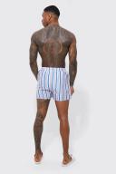 Short Length Striped Swim Shorts