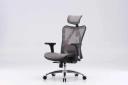 Sihoo M57 Ergonomic Office Chair Grey Frame With Grey Mesh | Plusup