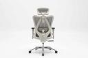 Sihoo M57 Ergonomic Office Chair Grey Frame With Grey Mesh | Plusup