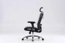 Sihoo M57 Ergonomic Office Chair Grey Frame With Grey Mesh | Plusup