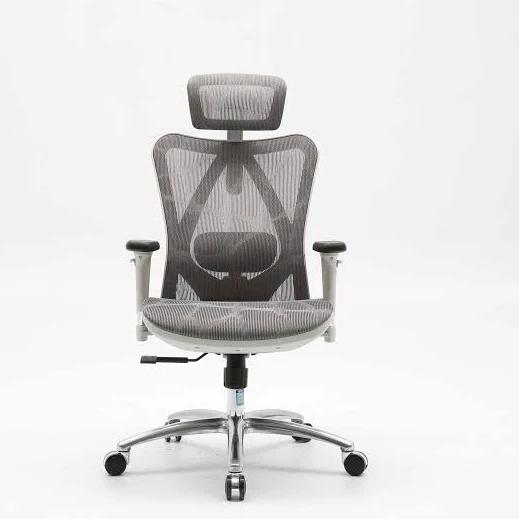 Sihoo M57 Ergonomic Office Chair Grey Frame With Grey Mesh | Plusup
