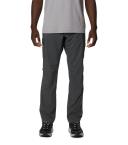 Silver Ridge Utility Pants - Mens