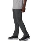 Silver Ridge Utility Pants - Mens