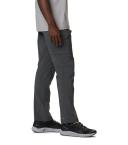 Silver Ridge Utility Pants - Mens