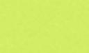 Skims Fits Everybody Bandeau Bralette Lime
