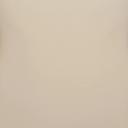 SKIMS Women's High-Waisted Brief | Sand | Light Neutral | Everyday Sculpt | L | Large