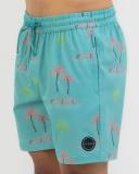 Skylark Men's Tranquil Mully Shorts in Green | Size Medium