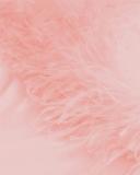 Sleeper Boheme Slip Dress With Feathers in Dust Pink
