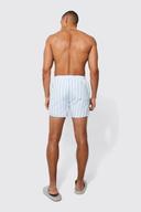 Smart Stripe Swim Short