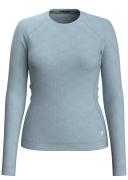 Smartwool Merino 250 Crew Long Sleeve T-shirt Grey M Woman SW016370K551.M