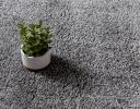 Solid Frieze 155cm x 235cm Gray Area Rug