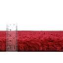 Solid Frieze 66cm x 95cm Red Accent Rug