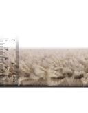 Solid Shag 305cm x 424cm Taupe Area Rug