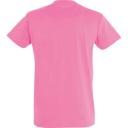 SOLS Mens Imperial Heavyweight Short Sleeve T-Shirt (Sky Blue) (M)