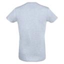 SOLS Mens Regent Slim Fit Short Sleeve T-Shirt (Terracotta) (S)