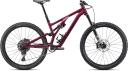 Specialized 2022 Stumpjumper Evo Comp Alloy/Size - S4 / Raspberry