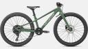 Specialized Riprock 24 Green | BikeExchange 2022