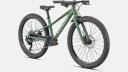 Specialized Riprock 24 Green | BikeExchange 2022