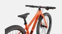 Specialized Riprock 24 Green | BikeExchange 2022