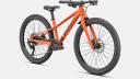 Specialized Riprock 24 Green | BikeExchange 2022