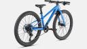 Specialized Riprock 24 Green | BikeExchange 2022