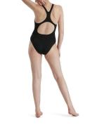 Speedo Eco Endurance+ Medalist - Women's Swimsuit