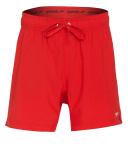 Speedo Men's 16" Solid Swim Trunks - Blue Small - Swimoutlet.com