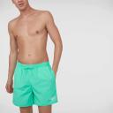 Speedo Men's Essentials 16" Watershort Green-Medium