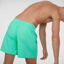 Speedo Men's Essentials 16" Watershort Green-Medium