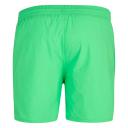 Speedo Men's Essentials 16" Watershort Green-Medium